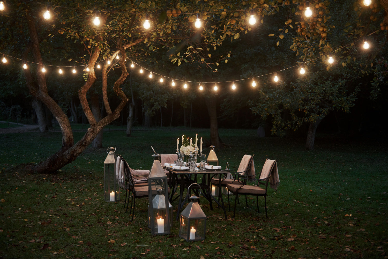 Radiant Garden Bliss | How Decorative Lights Transform Outdoor Spaces